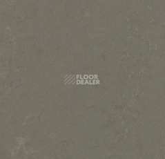 Линолеум Forbo Marmoleum Decibel on Order 372335 nebula фото 1 | FLOORDEALER
